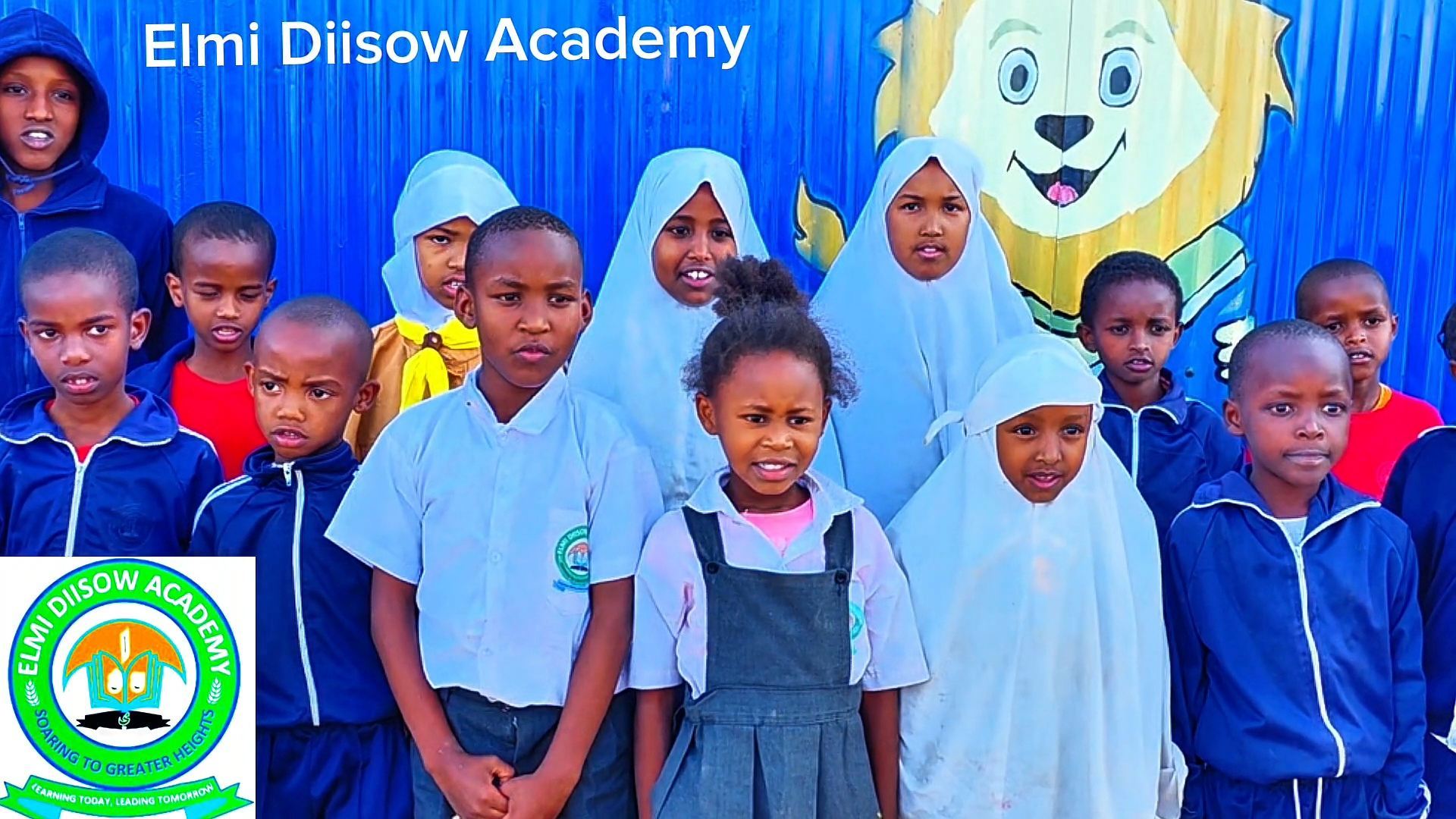 Elmi Diisow Academy