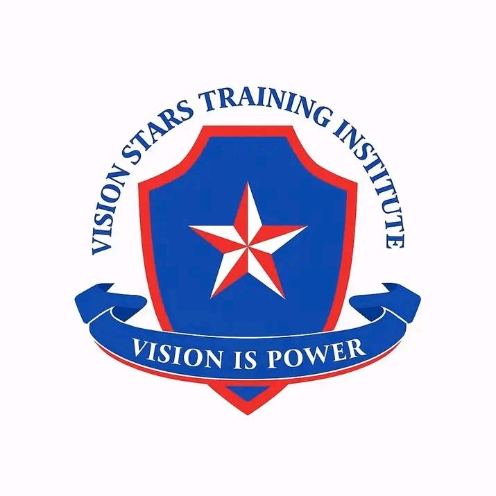 Vision Stars Training Institute