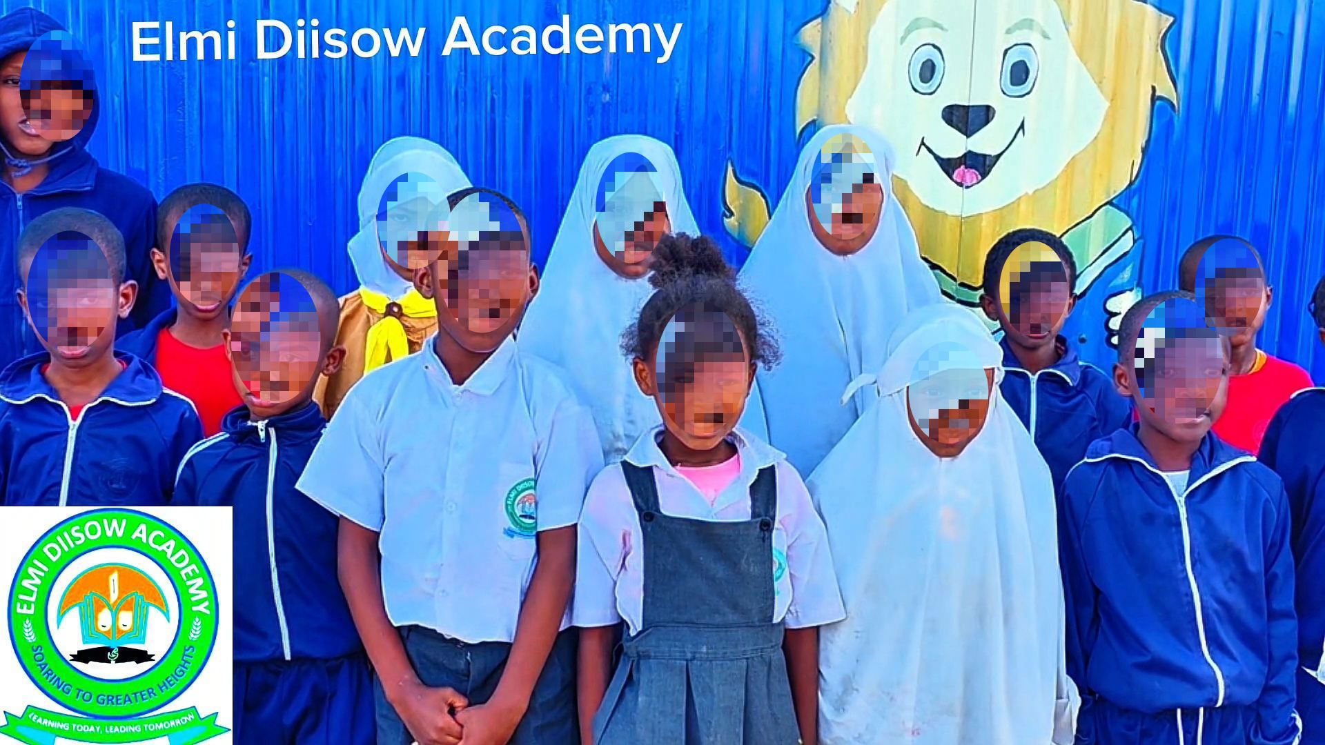 Elmi Diisow Academy