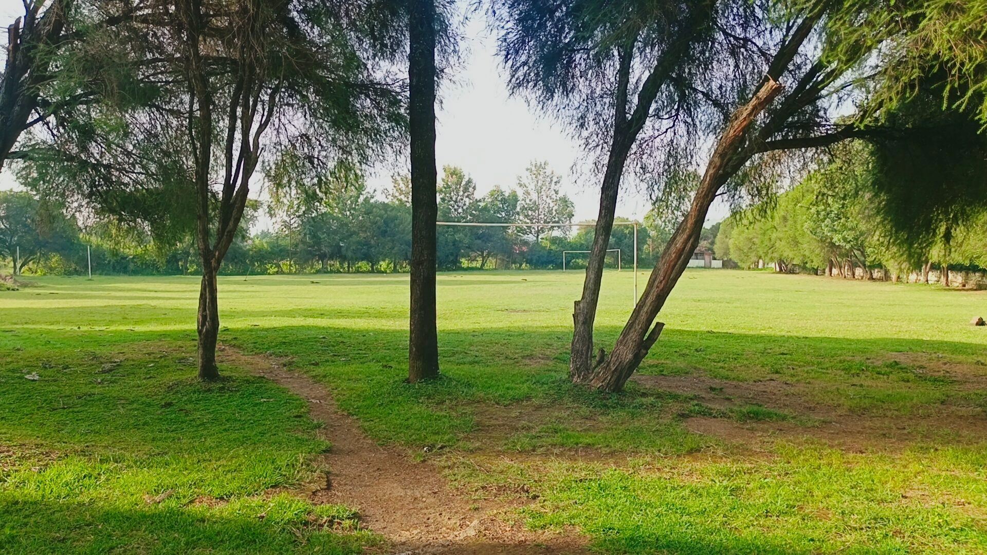 Nakuru College Of Health Sciences And Management