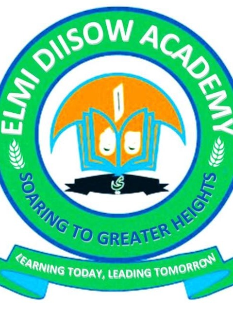 Elmi Diisow Academy